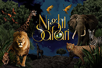 night safari 8