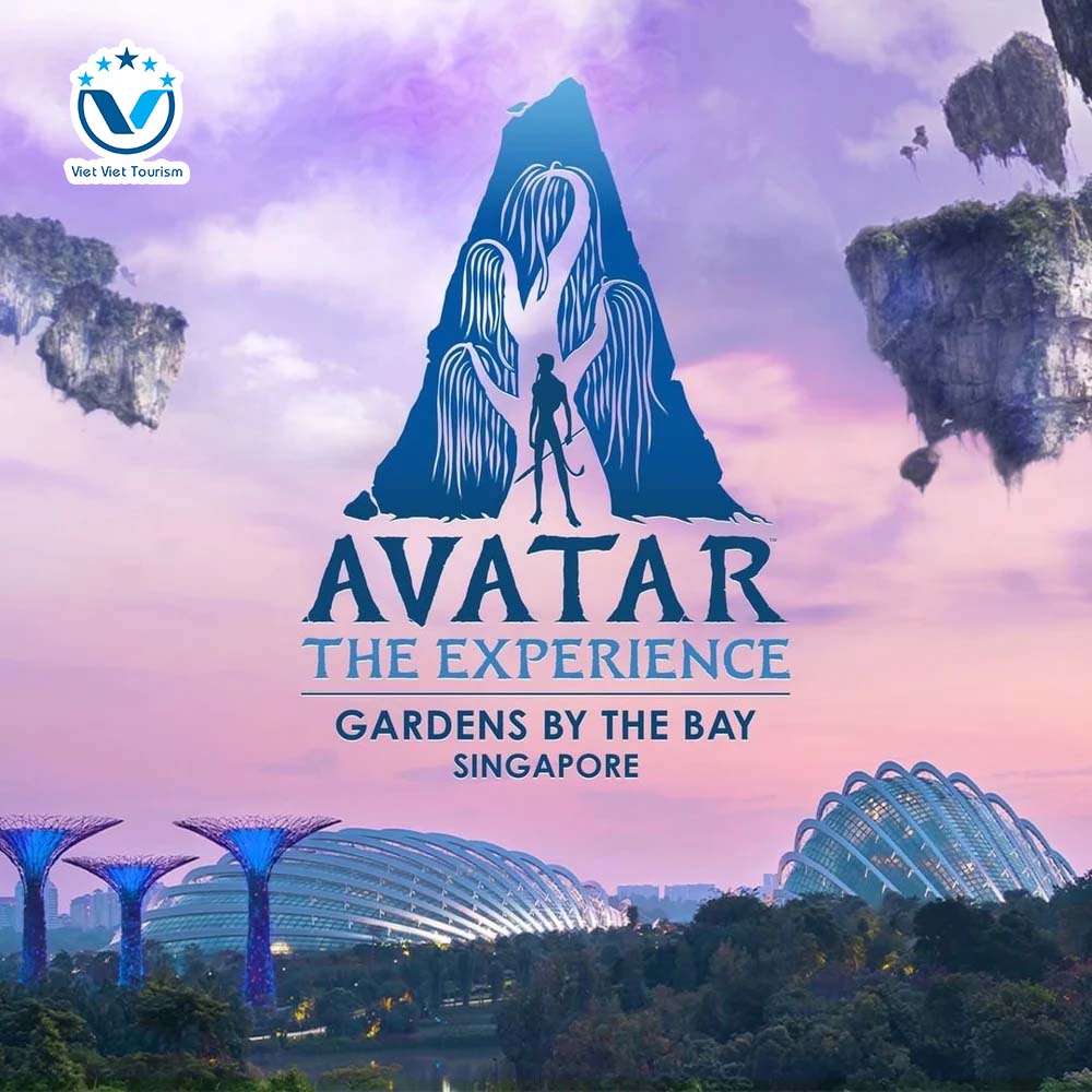 Avatar VVT 01